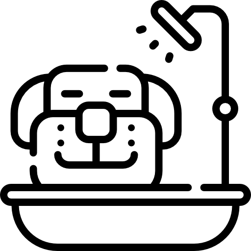 Bradford Pet Hospital - pet in shower