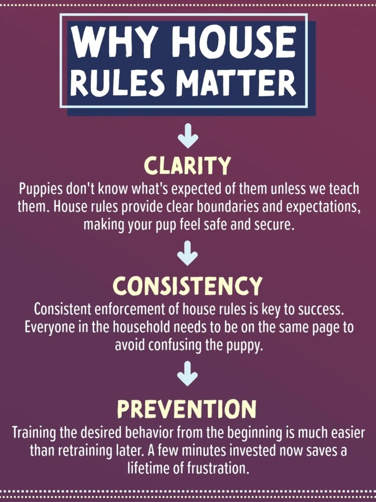 Bradford Pet Hospital - Why house rules matter