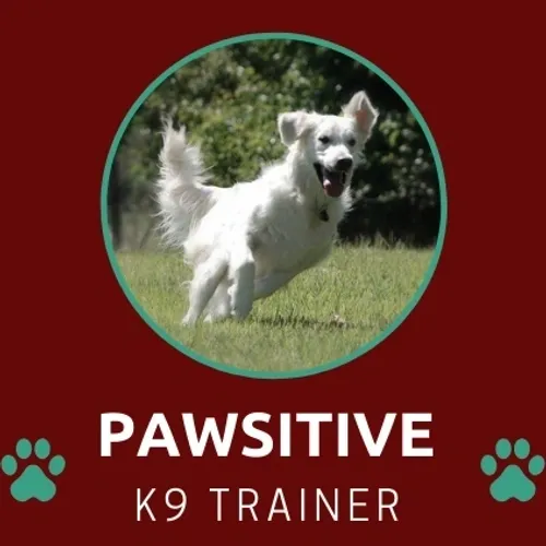 Bradford Pet Hospital - pawsitive