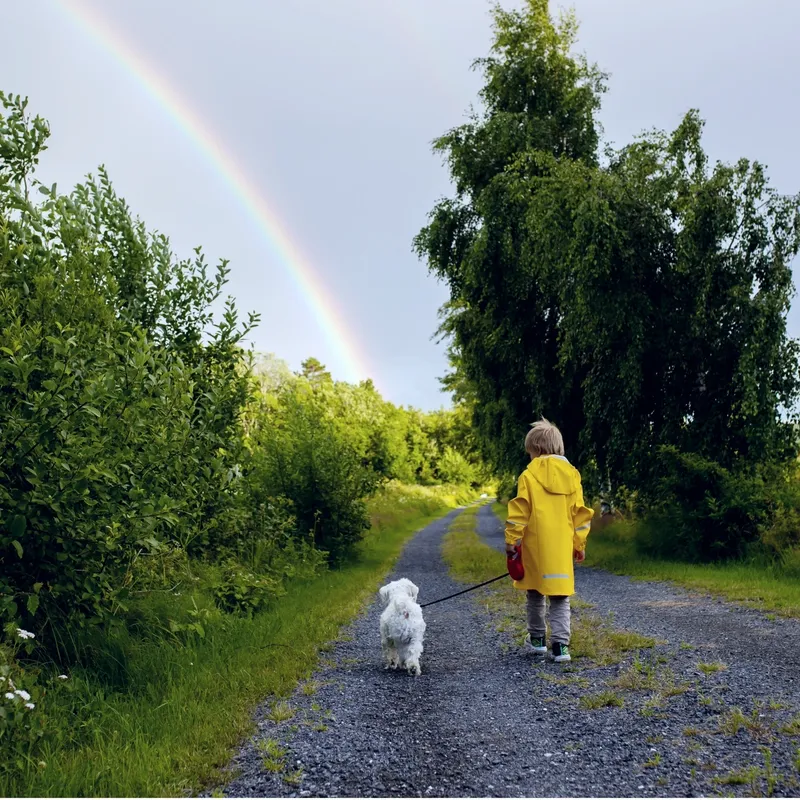 Bradford Pet Hospital - pet with dog