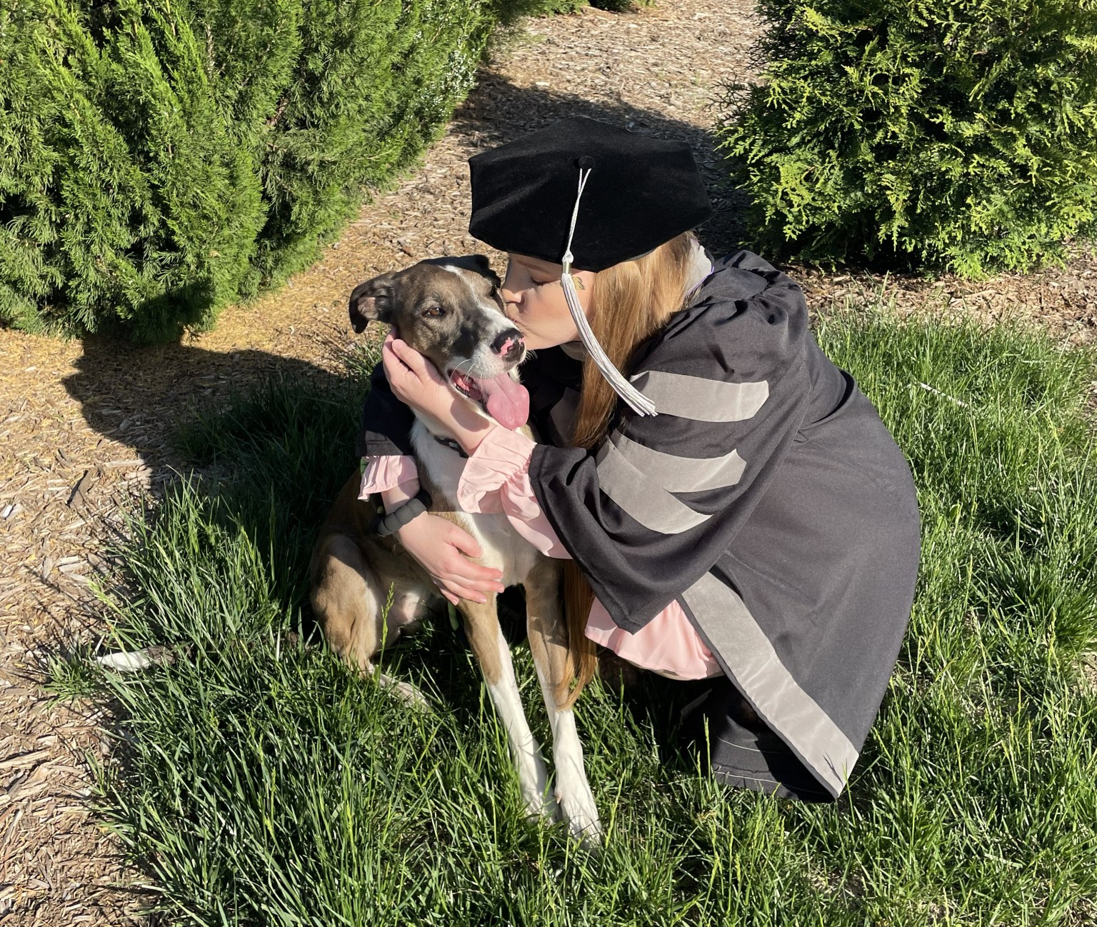 Owner hugging their dog outside on the grass